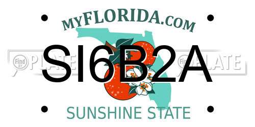 SI6B2A Florida License Plate