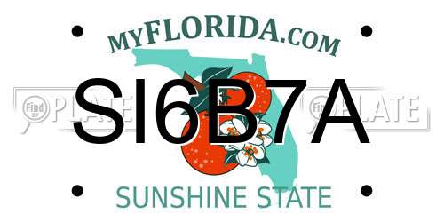 SI6B7A Florida License Plate