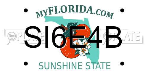 SI6E4B Florida License Plate