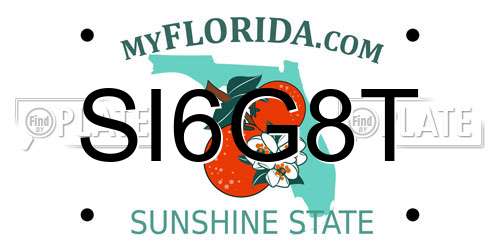 SI6G8T Florida License Plate