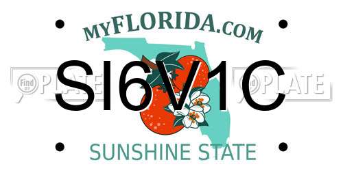 SI6V1C Florida License Plate