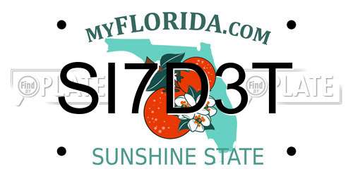 SI7D3T Florida License Plate