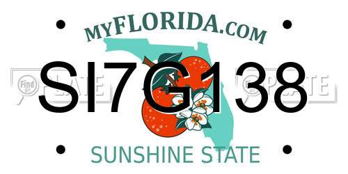 SI7G138 Florida License Plate