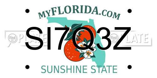 SI7Q3Z Florida License Plate