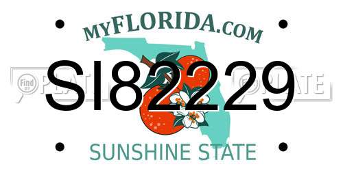 SI82229 Florida License Plate