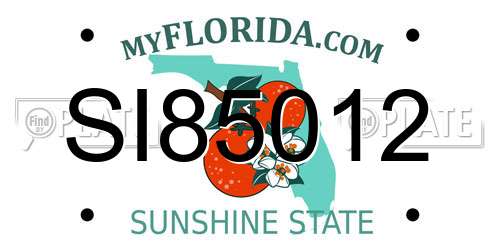 SI85012 Florida License Plate