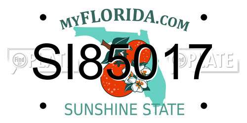 SI85017 Florida License Plate