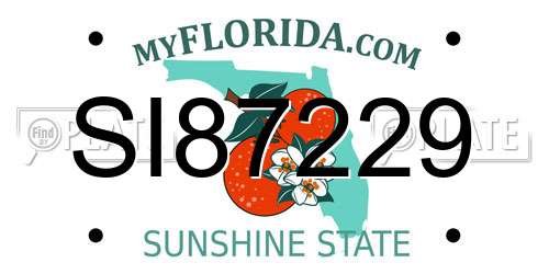 SI87229 Florida License Plate