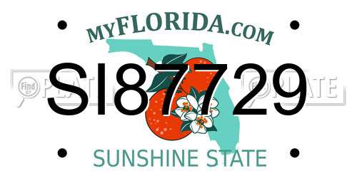 SI87729 Florida License Plate