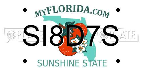 SI8D7S Florida License Plate
