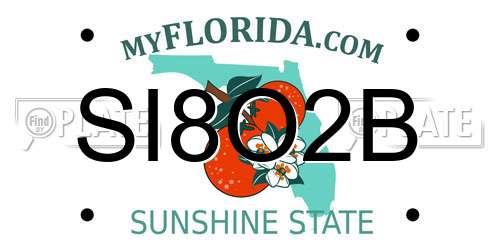 SI8O2B Florida License Plate
