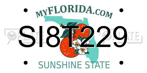 SI8T229 Florida License Plate