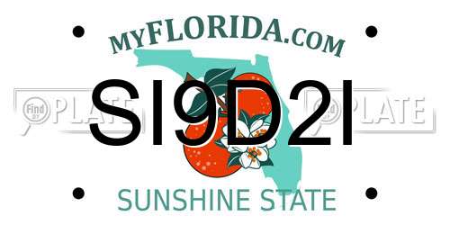 SI9D2I Florida License Plate