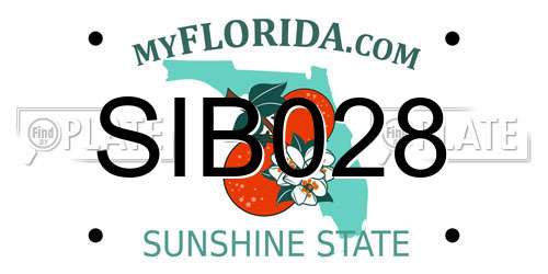 SIB028 Florida License Plate