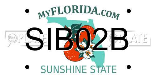 SIB02B Florida License Plate
