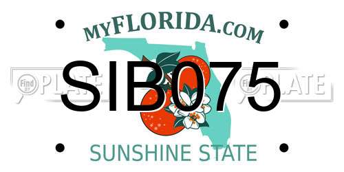 SIB075 Florida License Plate