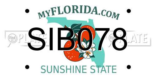 SIB078 Florida License Plate