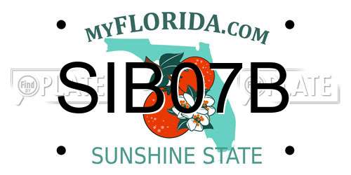 SIB07B Florida License Plate