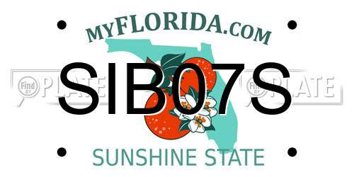 SIB07S Florida License Plate