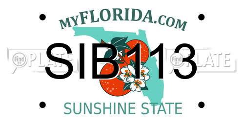 SIB113 Florida License Plate