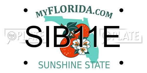 SIB11E Florida License Plate