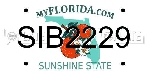 SIB2229 Florida License Plate