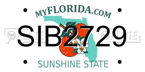 SIB2729 Florida License Plate