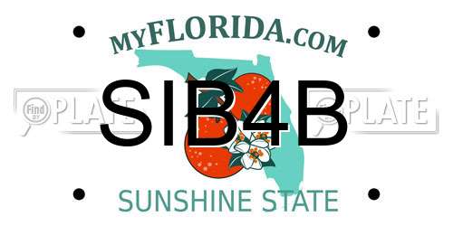 SIB4B Florida License Plate
