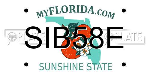 SIB58E Florida License Plate