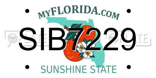 SIB7229 Florida License Plate