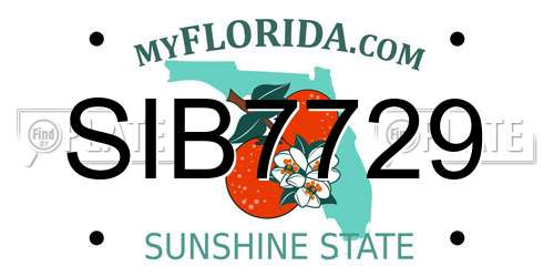 SIB7729 Florida License Plate