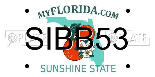 SIBB53 Florida License Plate