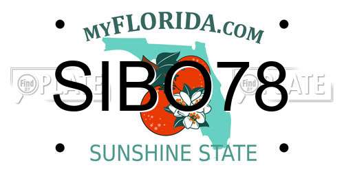 SIBO78 Florida License Plate