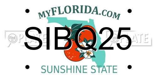 SIBQ25 Florida License Plate