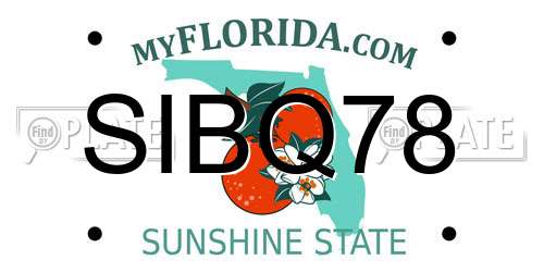 SIBQ78 Florida License Plate