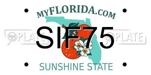 SIF75 Florida License Plate