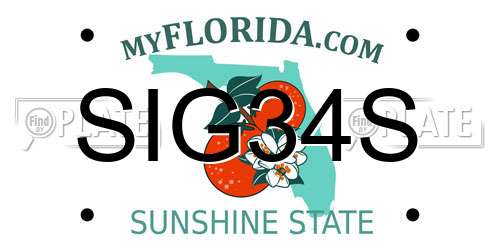 SIG34S Florida License Plate