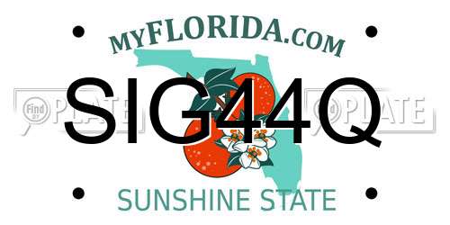 SIG44Q Florida License Plate
