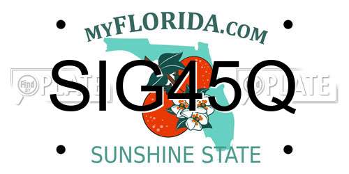 SIG45Q Florida License Plate