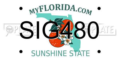 SIG480 Florida License Plate