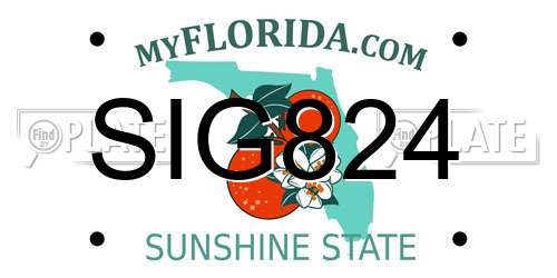 SIG824 Florida License Plate