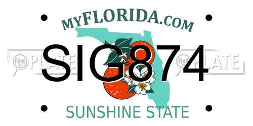 SIG874 Florida License Plate