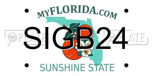 SIGB24 Florida License Plate