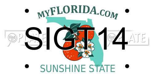 SIGT14 Florida License Plate