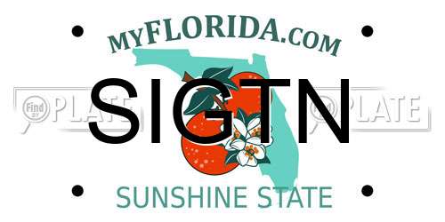 SIGTN Florida License Plate