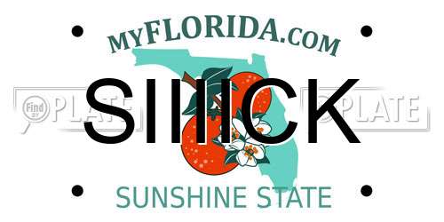 SIIIICK Florida License Plate