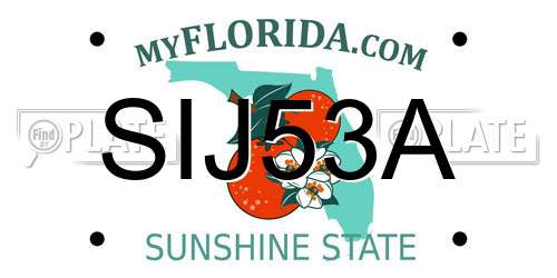 SIJ53A Florida License Plate
