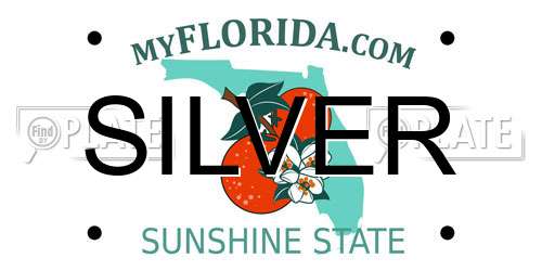 SILVER Florida License Plate