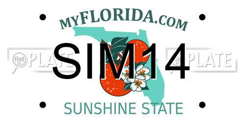 SIM14 Florida License Plate