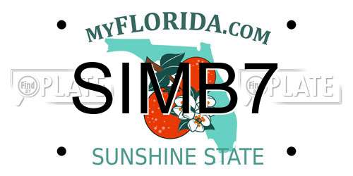 SIMB7 Florida License Plate